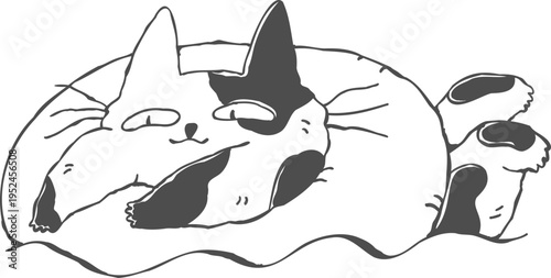 Cute summer cat swimming with inflatable ring in pool, hand drawn doodle line art vacation illustration