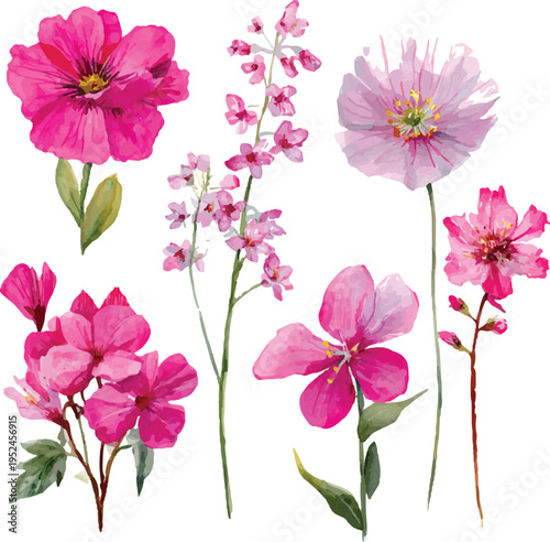 set of pink flowers
