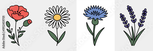 Botanical wildflower clipart bundle - Suitable for nature blogs.