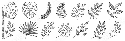 Minimalist black line art botanical leaf icon sheet - Suitable for modern logos, sophisticated stationery, or tattoo inspiration.
