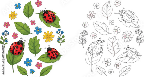 Cartoon ladybugs on leaves with spring flowers, coloring page activity for kids, educational nature illustration, preschool vector, white background, garden.