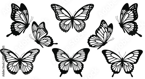 Set of Black and White Butterfly Silhouettes Isolated on White Background