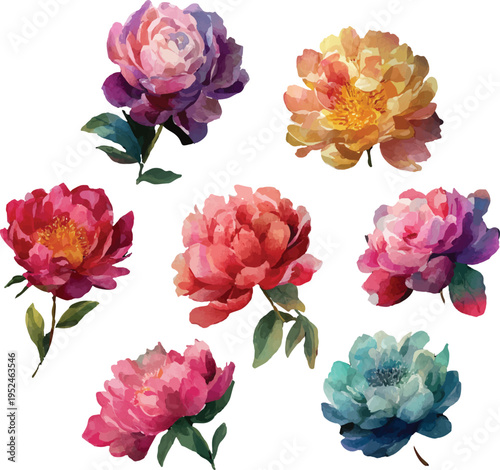 set of watercolor flowers