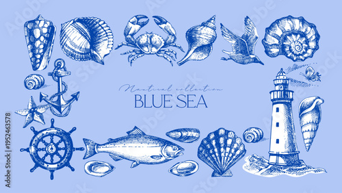 Vintage summer sea set. Retro sketch nautical vacation frame. Hand drawn vector illustration. Marine stickers