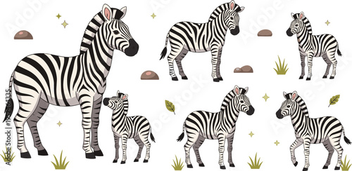 Zebra Family Vector Set Featuring Adult and Baby Zebras in Different Poses, African Wildlife Animals for Safari and Nature Design Illustrations