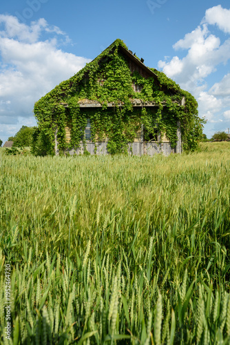 Summer Village Landscape: House Overgrown With Greenery Against Blue Sky