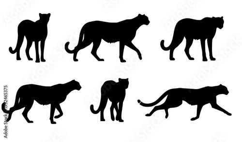 Cheetah silhouette set vector illustration multiple poses wild animal design