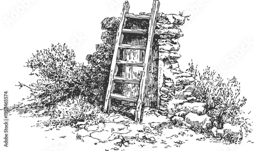 Rustic wooden ladder leaning on old stone wall ruins surrounded by shrubs and rocky ground