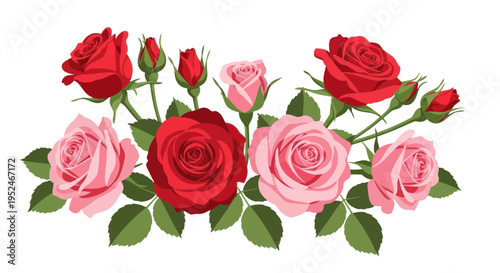 Beautiful Red and Pink Roses with Green Leaves - Floral Arrangement