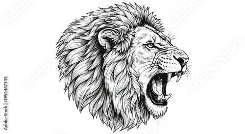 Fierce Lion Head Roaring Black and White Sketch Illustration