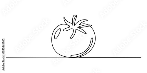Minimalist one line drawing of a fresh organic tomato vegetable on white background.