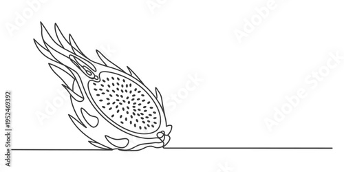Single line drawing of a sliced dragon fruit on a white background with a horizontal line.