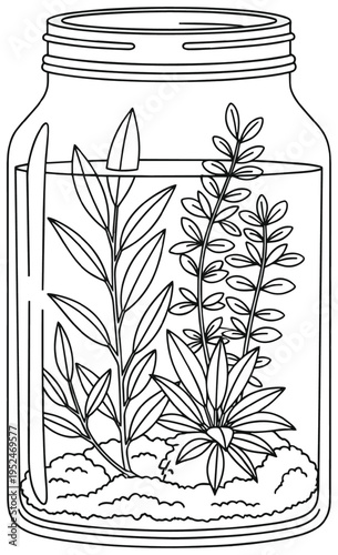 Simple line drawing of aquatic plants in glass jar on substrate