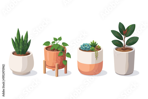 Collection of four potted houseplants in modern planters, isolated on white background