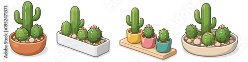 Collection of potted cacti and succulents in various decorative containers