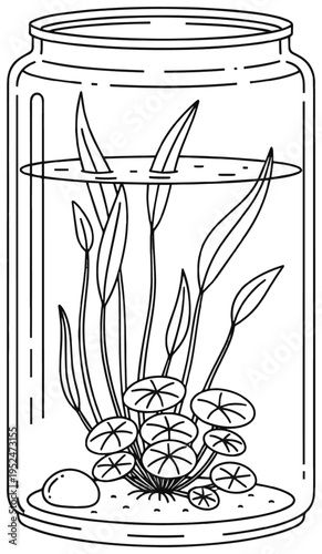 Jar with aquatic plants and water, simple outline drawing for decoration