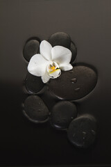 Plexiglas schilderij Spa Massagestenen met witte orchidee  © Евгения Калашникова