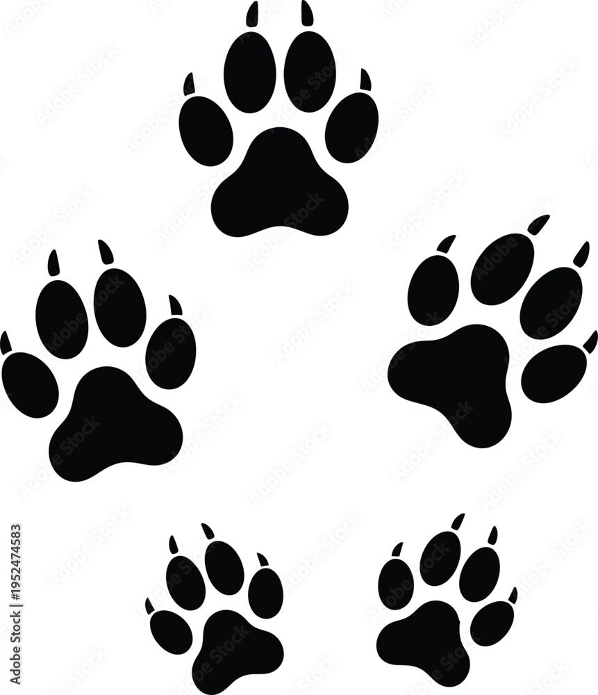 Fototapeta premium Five black animal paw prints arranged in a circle on a white background