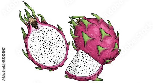 Exotic Dragon Fruit Halved and Whole with Slice, Tropical Fruit Illustration