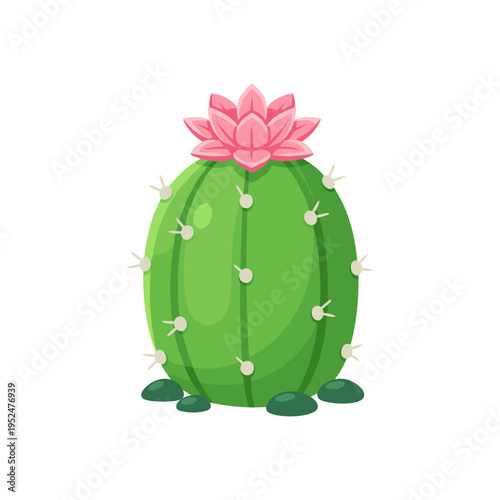 Cute blooming green cactus plant with pink flower in flat design style isolated on white background for desert nature theme garden decor and stickers.