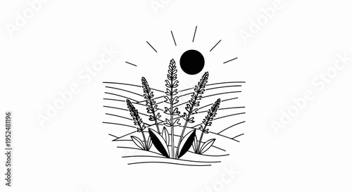 Stylized sun over lavender field, minimalist line art design