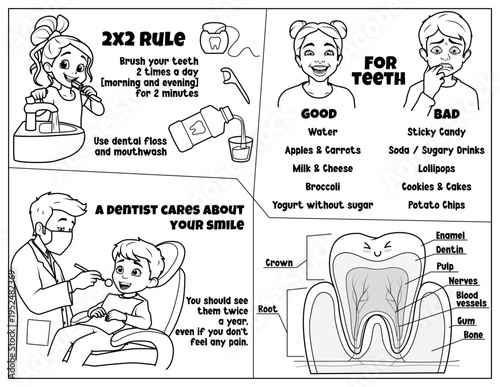 Dental health and oral hygiene activity sheet for kids. Teeth care educational worksheet with tooth anatomy diagram, dentist visit and healthy food sorting.