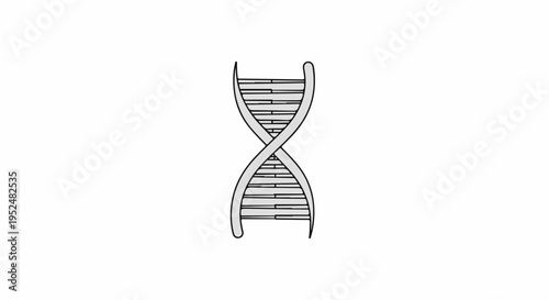 Stylized double helix DNA strand, simplified scientific illustration