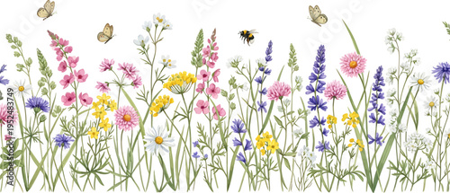 Beautiful Watercolor Wildflower Meadow Border with Butterflies and Bumblebee on White