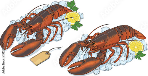 Fresh Lobster Seafood Illustration with Ice, Lemon, and Parsley for Restaurant Menu, Seafood Market, and Gourmet Food Vector Design