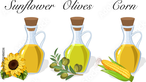 A set of bottles with natural oils.Vector illustration with olive, corn and sunflower oil in glass bottles on a transparent background with text.