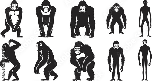 Black silhouette set of various monkeys gorillas chimpanzees and primates in different poses isolated on a white background vector illustration.