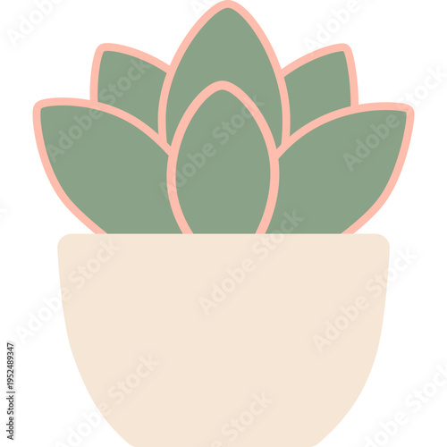 Echeveria Flat Illustration