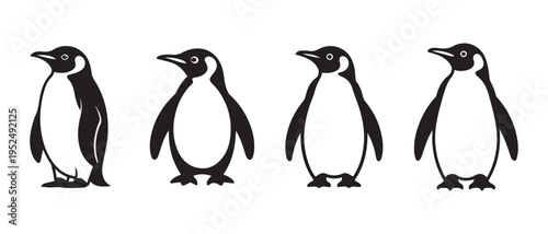 Black and white vector penguin illustrations standing isolated on white, a simple graphic animal design set.