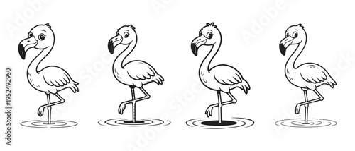 Cute Cartoon Flamingos Standing in Water, Black and White Line Art Illustration on White Background for Design.
