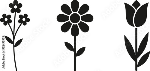 Flower silhouette icon set featuring floral elements, botanical shapes, nature symbols, minimal black design, decorative plant illustration isolated on white background