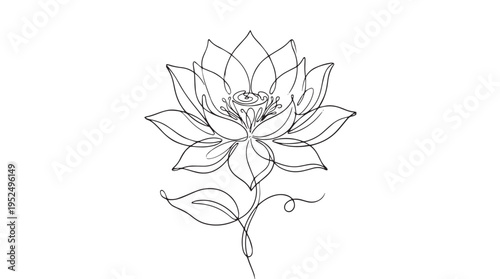 Elegant Continuous Line Art Lotus Flower Vector Illustration with Stem and Leaves, Minimalist Black Outline Design for Wellness, Beauty, and Nature Concepts