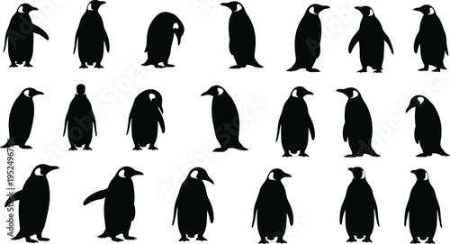 Black penguin silhouettes collection featuring various poses like standing walking and bowing isolated on white background for wildlife nature conservation and animal design