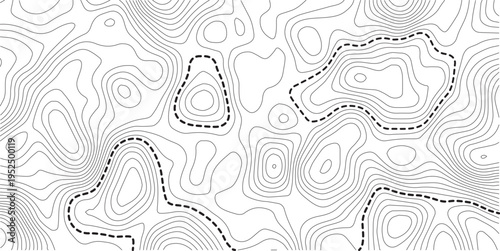 topographic line contour map background, geographic grid map, stock vector illustration. white background topo.