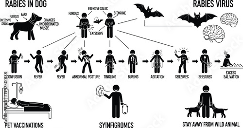 An educational infographic illustrating the symptoms, transmission, and prevention of rabies virus isolated on white background, Vector