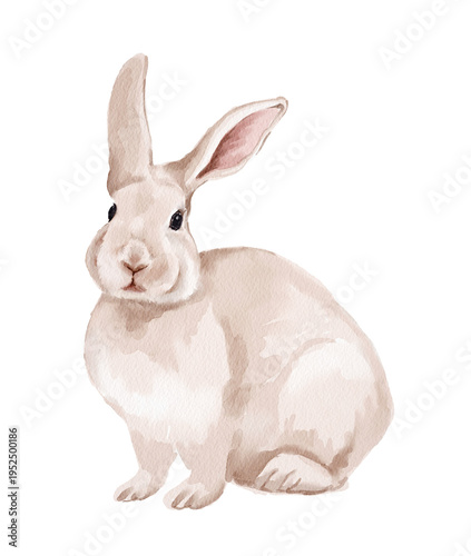 Cute watercolor spring illustration of a bunny rabbit. Hand painted element for invitation, social media and posters.