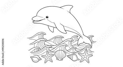 Vector illustration of dolphin jumping over seashells and starfish