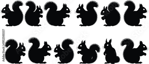 Squirrel silhouettes collection, cute woodland animals with fluffy tails in different poses, forest wildlife illustration set