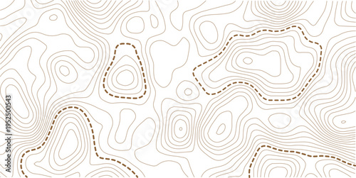 topographic line contour map background, geographic grid map, stock vector illustration. white background topo.