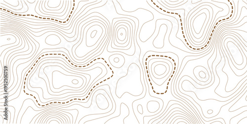 topographic line contour map background, geographic grid map, stock vector illustration. white background topo.