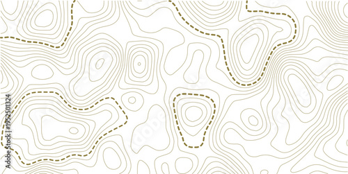 topographic line contour map background, geographic grid map, stock vector illustration. white background topo.