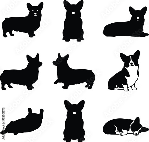 Set of Welsh Corgi Dog Silhouettes and Illustrations Showing Different Poses Including Sitting Standing Lying Down and Walking Isolated on White Background for Pet Design