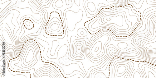 topographic line contour map background, geographic grid map, stock vector illustration