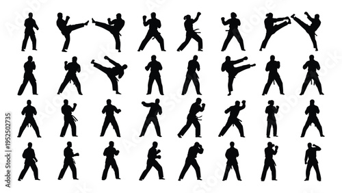 Various black silhouettes of people performing different kicking poses