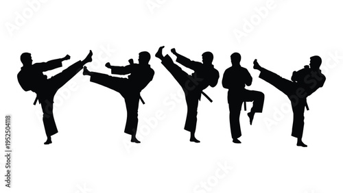 Martial arts silhouettes performing various kicking techniques