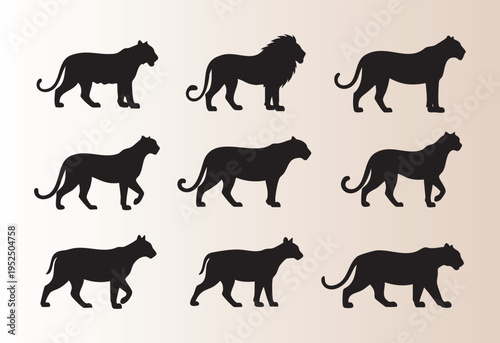 Collectionofbigcatsilhouettesinvariousposesisolatedview